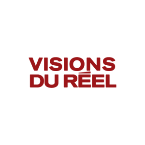 Visions du réel